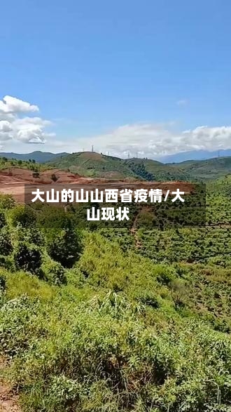 大山的山山西省疫情/大山现状-第1张图片
