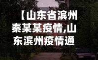 【山东省滨州秦某某疫情,山东滨州疫情通报】-第2张图片