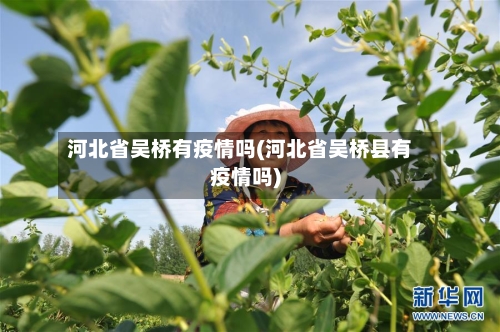 河北省吴桥有疫情吗(河北省吴桥县有疫情吗)-第2张图片