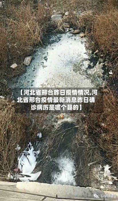【河北省邢台昨日疫情情况,河北省邢台疫情最新消息昨日确诊病历是哪个县的】-第1张图片