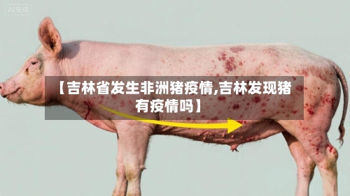 【吉林省发生非洲猪疫情,吉林发现猪有疫情吗】-第2张图片