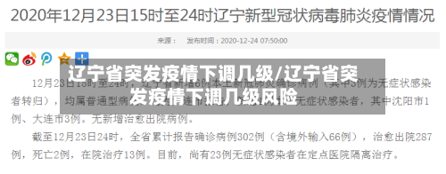辽宁省突发疫情下调几级/辽宁省突发疫情下调几级风险-第1张图片