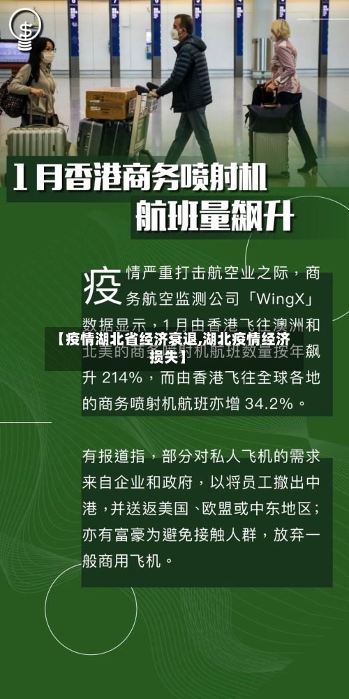 【疫情湖北省经济衰退,湖北疫情经济损失】-第2张图片