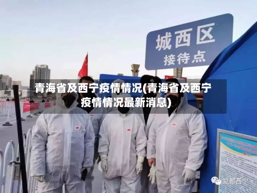 青海省及西宁疫情情况(青海省及西宁疫情情况最新消息)-第2张图片