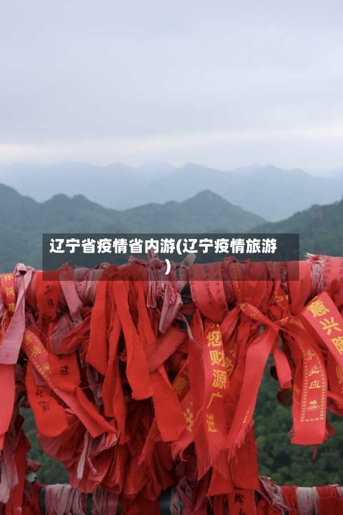 辽宁省疫情省内游(辽宁疫情旅游)-第1张图片