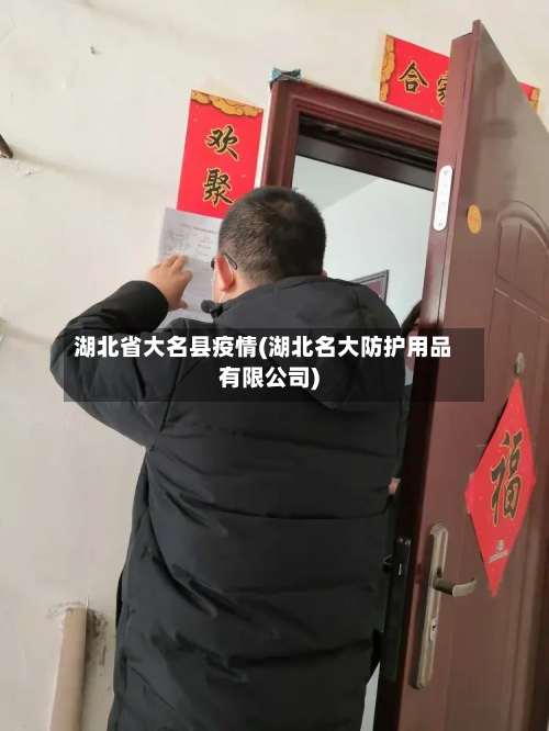 湖北省大名县疫情(湖北名大防护用品有限公司)-第2张图片