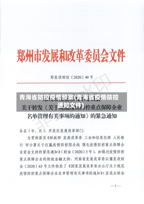 青海省防控疫情预案(青海省疫情防控通知文件)-第1张图片