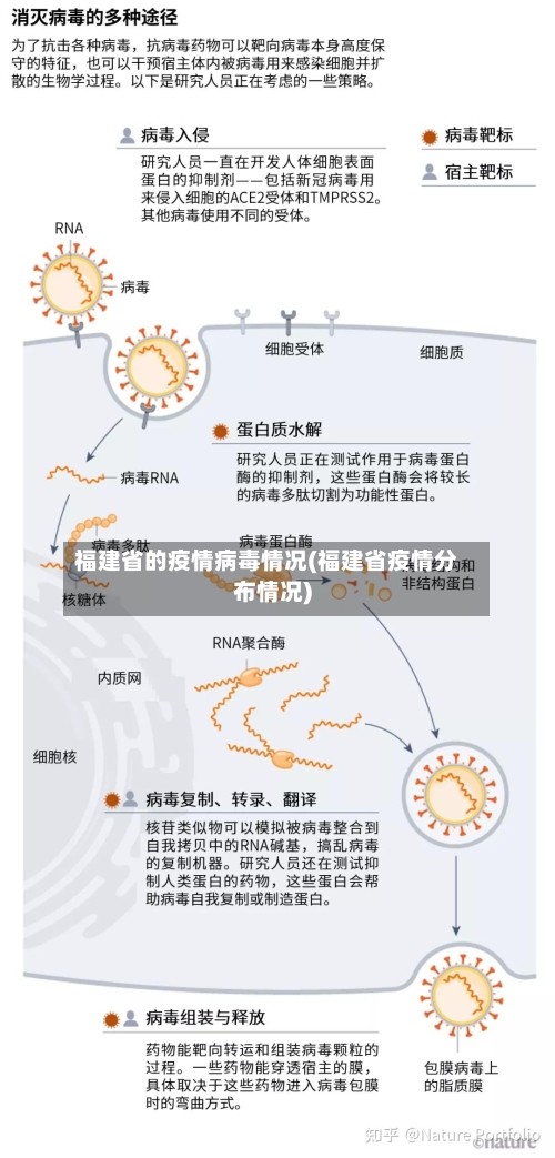 福建省的疫情病毒情况(福建省疫情分布情况)-第2张图片
