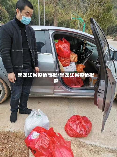 黑龙江省疫情简报/黑龙江省疫情报道-第2张图片