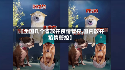 【全国几个省放开疫情管控,国内放开疫情管控】-第1张图片