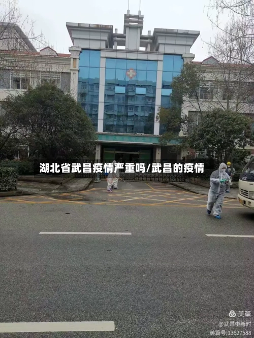 湖北省武昌疫情严重吗/武昌的疫情-第2张图片