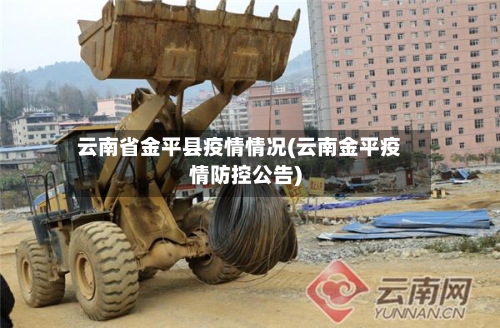 云南省金平县疫情情况(云南金平疫情防控公告)-第3张图片