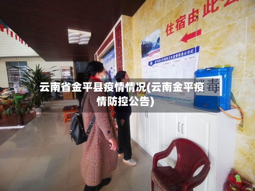 云南省金平县疫情情况(云南金平疫情防控公告)-第2张图片