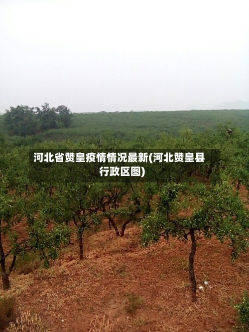 河北省赞皇疫情情况最新(河北赞皇县行政区图)-第2张图片