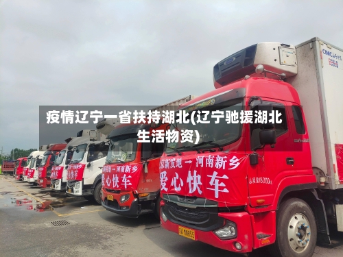 疫情辽宁一省扶持湖北(辽宁驰援湖北生活物资)-第1张图片