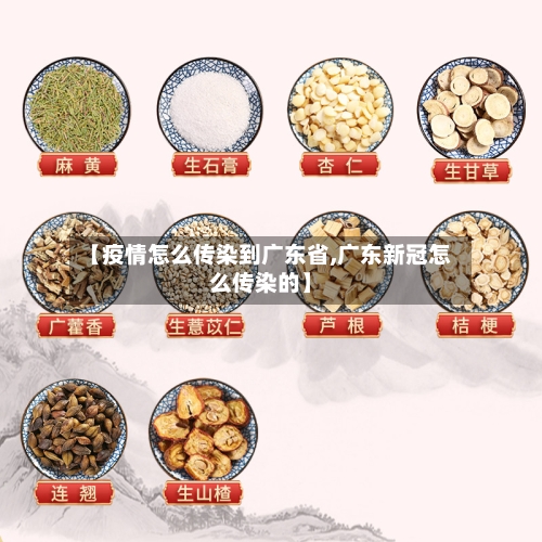 【疫情怎么传染到广东省,广东新冠怎么传染的】-第2张图片
