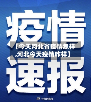 【今天河北省疫情怎样,河北今天疫情咋样】-第3张图片