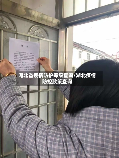 湖北省疫情防护等级查询/湖北疫情防控政策查询-第2张图片