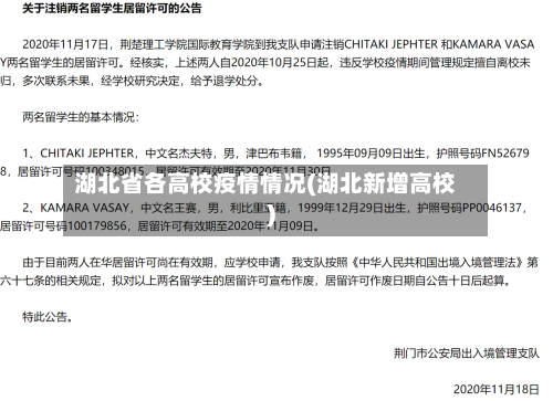 湖北省各高校疫情情况(湖北新增高校)-第3张图片