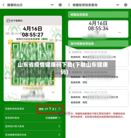 山东省疫情健康码下载(下截山东健康码)-第3张图片