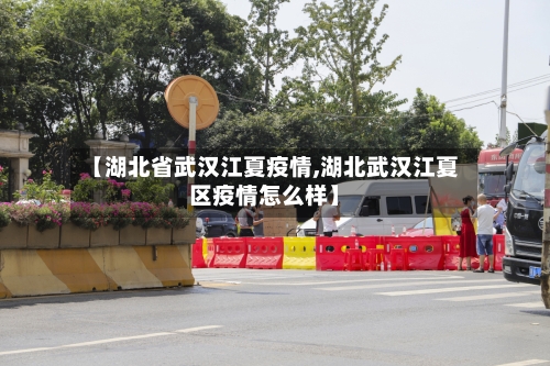 【湖北省武汉江夏疫情,湖北武汉江夏区疫情怎么样】-第2张图片