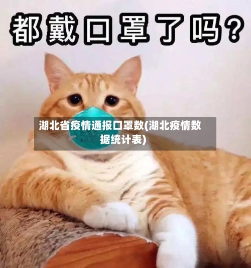 湖北省疫情通报口罩数(湖北疫情数据统计表)-第2张图片