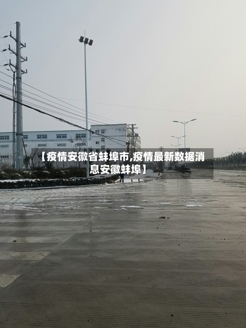 【疫情安徽省蚌埠市,疫情最新数据消息安徽蚌埠】-第3张图片