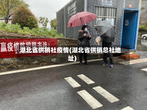 湖北省供销社疫情(湖北省供销总社地址)-第3张图片