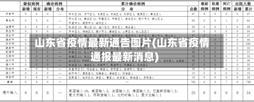 山东省疫情最新通告图片(山东省疫情通报最新消息)-第2张图片