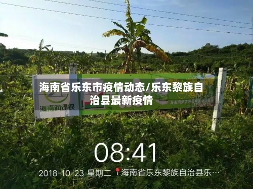海南省乐东市疫情动态/乐东黎族自治县最新疫情-第1张图片