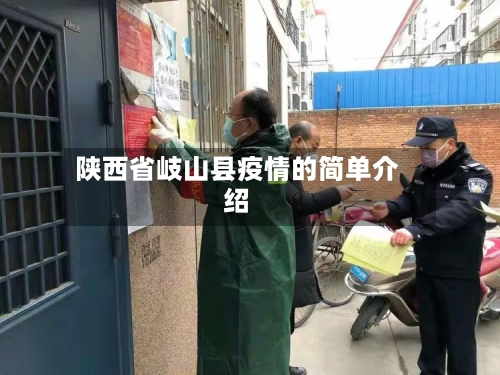 陕西省岐山县疫情的简单介绍-第2张图片