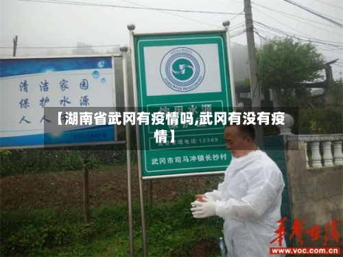 【湖南省武冈有疫情吗,武冈有没有疫情】-第1张图片
