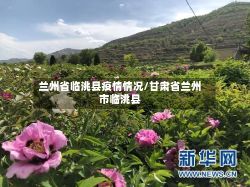 兰州省临洮县疫情情况/甘肃省兰州市临洮县-第1张图片