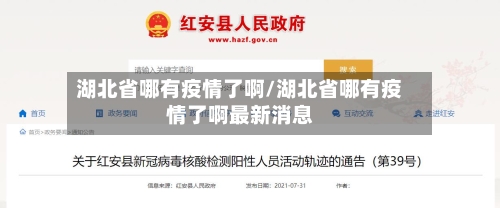 湖北省哪有疫情了啊/湖北省哪有疫情了啊最新消息-第2张图片