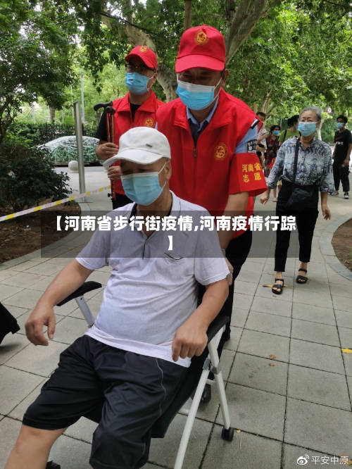 【河南省步行街疫情,河南疫情行踪】-第2张图片