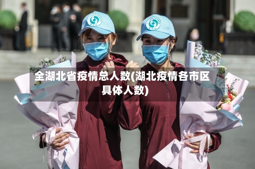 全湖北省疫情总人数(湖北疫情各市区具体人数)-第1张图片