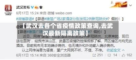 【武汉去各个省疫情政策查询,去武汉最新隔离政策】-第2张图片