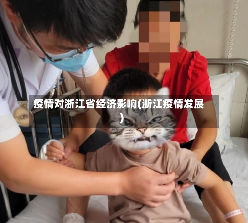 疫情对浙江省经济影响(浙江疫情发展)-第1张图片