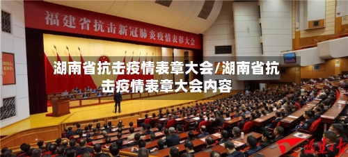 湖南省抗击疫情表章大会/湖南省抗击疫情表章大会内容-第1张图片