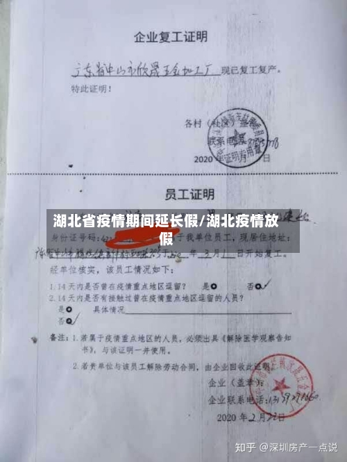 湖北省疫情期间延长假/湖北疫情放假-第2张图片