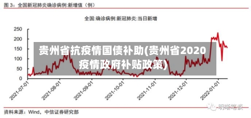 贵州省抗疫情国债补助(贵州省2020疫情政府补贴政策)-第1张图片