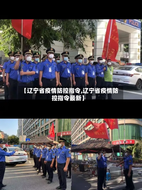 【辽宁省疫情防控指令,辽宁省疫情防控指令最新】-第3张图片