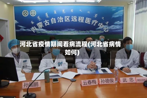 河北省疫情期间看病流程(河北省病情如何)-第2张图片