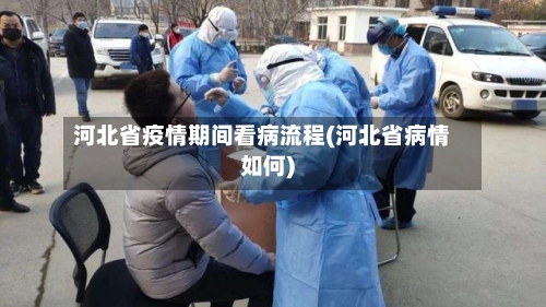 河北省疫情期间看病流程(河北省病情如何)-第1张图片