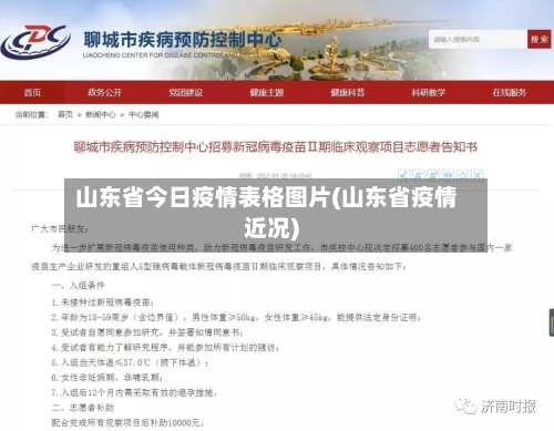 山东省今日疫情表格图片(山东省疫情近况)-第3张图片