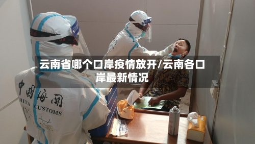 云南省哪个口岸疫情放开/云南各口岸最新情况-第2张图片
