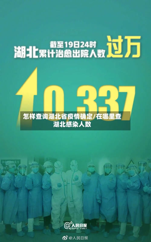 怎样查询湖北省疫情确定/在哪里查湖北感染人数-第3张图片