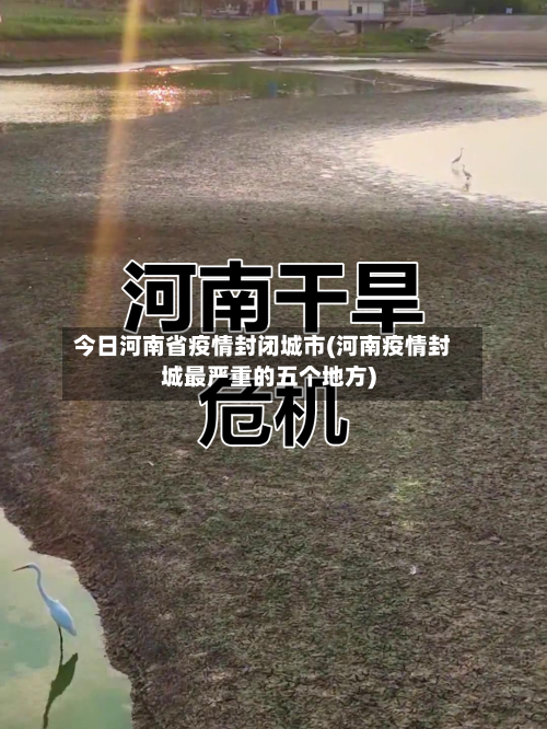 今日河南省疫情封闭城市(河南疫情封城最严重的五个地方)-第2张图片