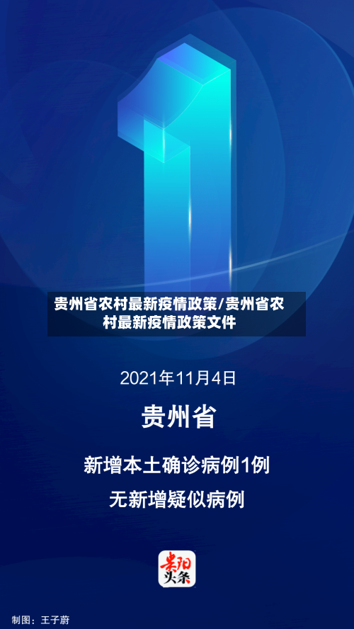 贵州省农村最新疫情政策/贵州省农村最新疫情政策文件-第2张图片