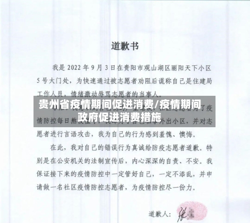 贵州省疫情期间促进消费/疫情期间政府促进消费措施-第2张图片